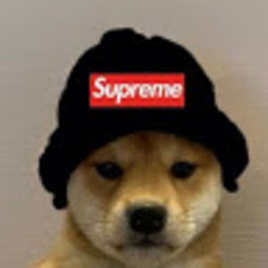 Meet your Posher, Logan